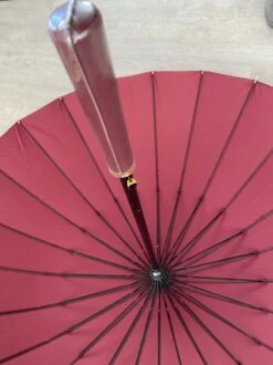 Merkloos Luxe Stormparaplu -Stormparaplu-24ribben-extra Sterk Paraplu-mooie Paraplu-windkracht 8 Paraplu -Buitenkampeeruitrusting 899x1200 3